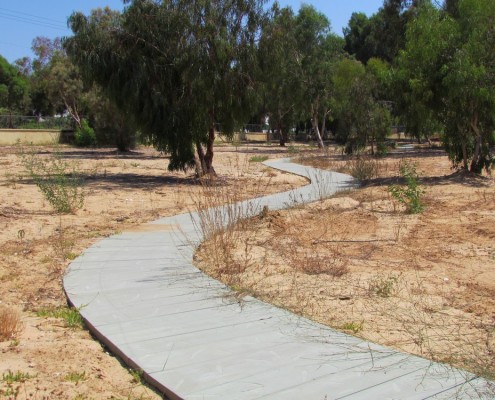 הפארק האקולוגי בראשון לציון תוכנן בחורשת אקליפטוסים בשטח חולי. שביל מתפתל אריחי ריצוף מבטון אדריכלי עם הטבעת עלי אקליפטוס