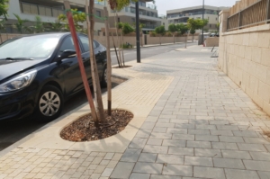 עתלית. תכנון: משה לנר אדריכלי נוף. כרמלסטון נטע גוון קוקטיל אפורים