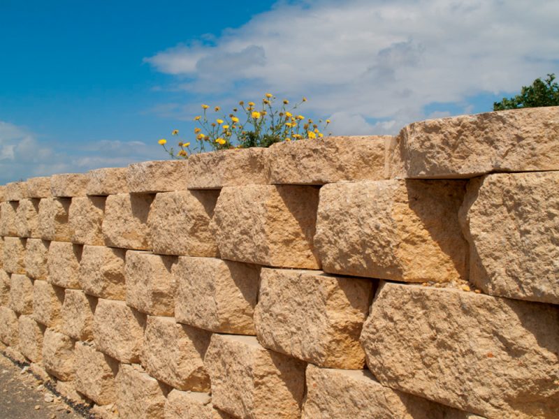 afek0004