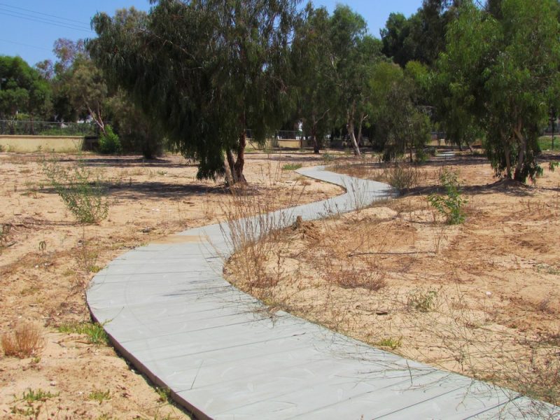 rishon-ekologi-12